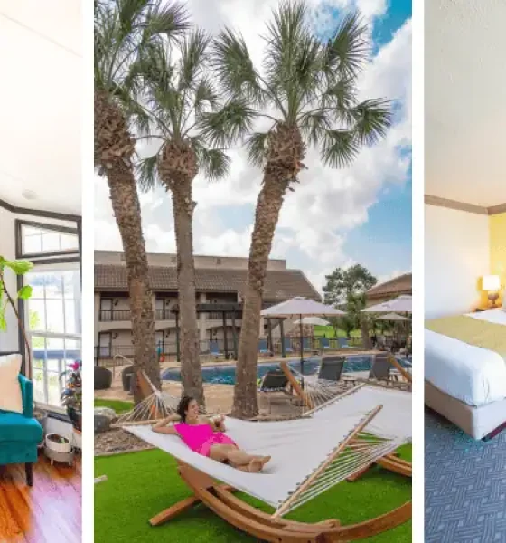Best Pet Friendly Getaways in Texas During Spring Break