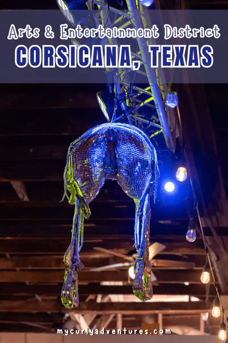 corsicana arts & entertainment district - corsicana opry sparkly saddle