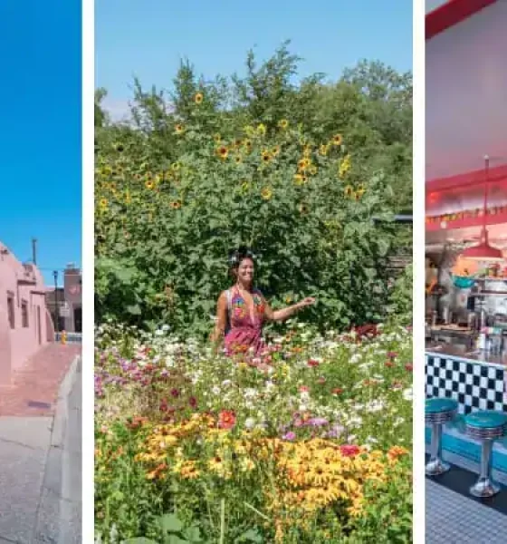 Ultimate Guide: Best Things to Do in Albuquerque, NM