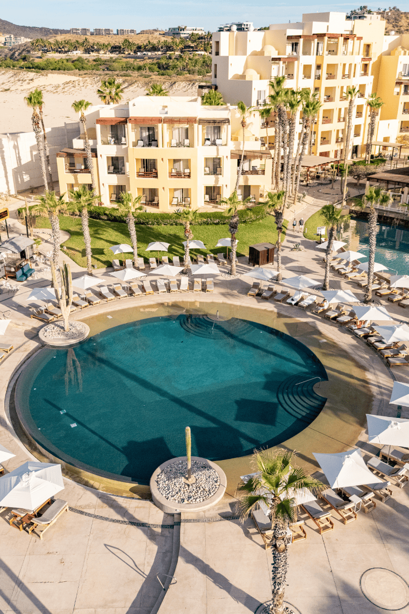 Relaxing hotel pool with sun loungers and palm trees at a sunny resort in a tropical destination.