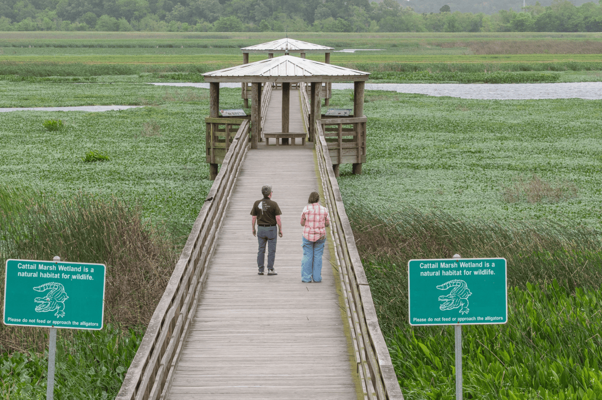 Beaumont Texas travel guide with wetland boardwalk and marsh views