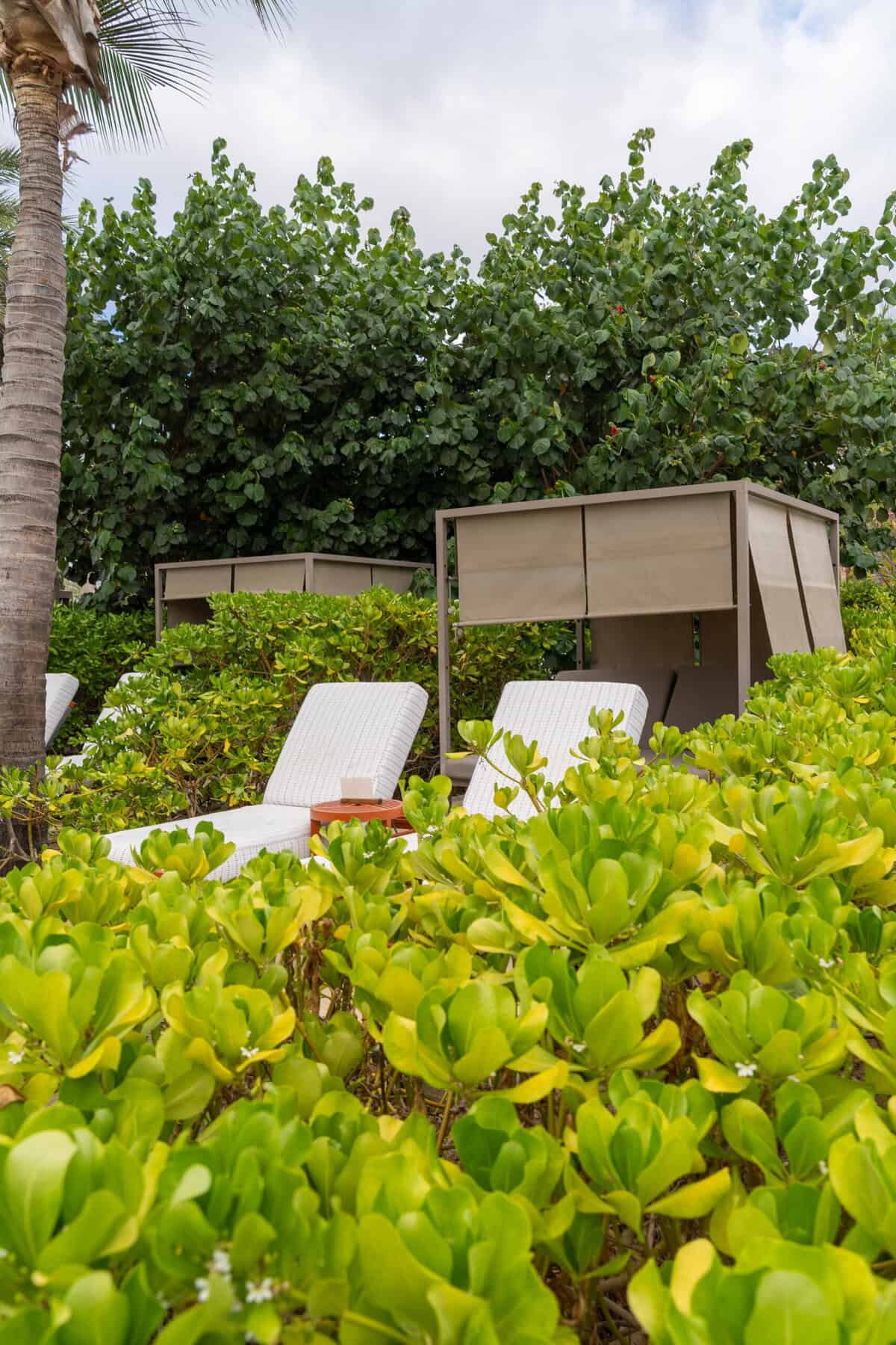 Poolside lounge chairs and palms at Conrad Punta de Mita.