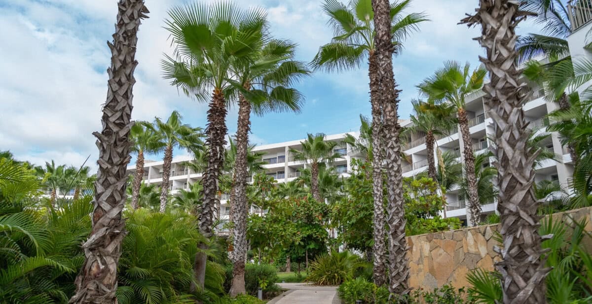 Palm-lined resort walkway and guest buildings at Conrad Punta de Mita.
