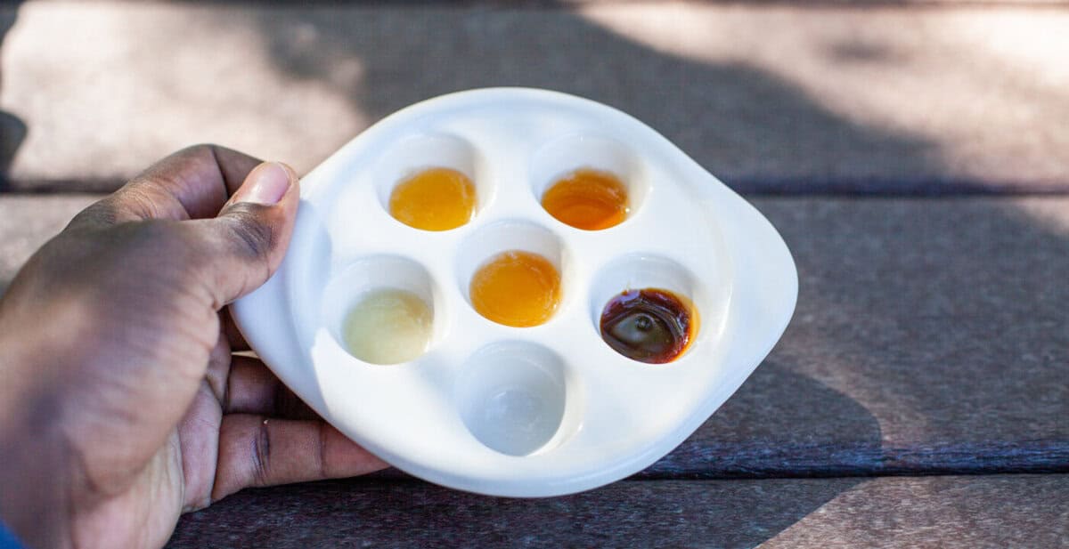 Honey tasting activity at Miraval Austin