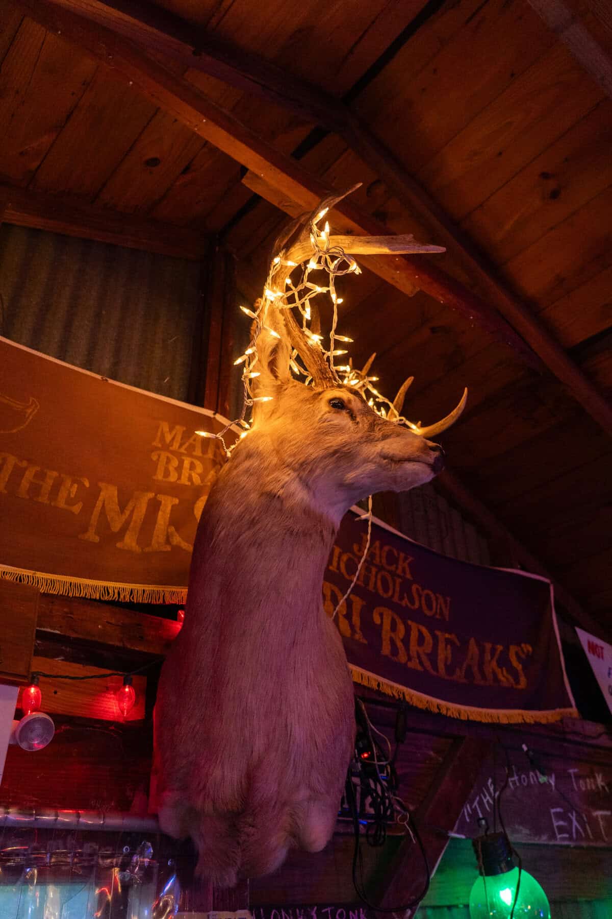Mounted deer and string lights inside Old Tomball Honky Tonk
