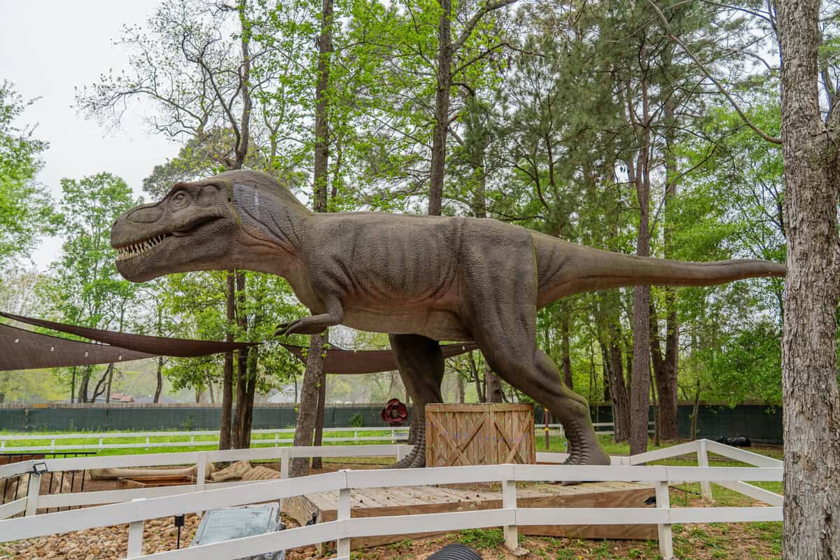 Family-friendly dinosaur stop at Once Upon a Cowboy in Tomball TX