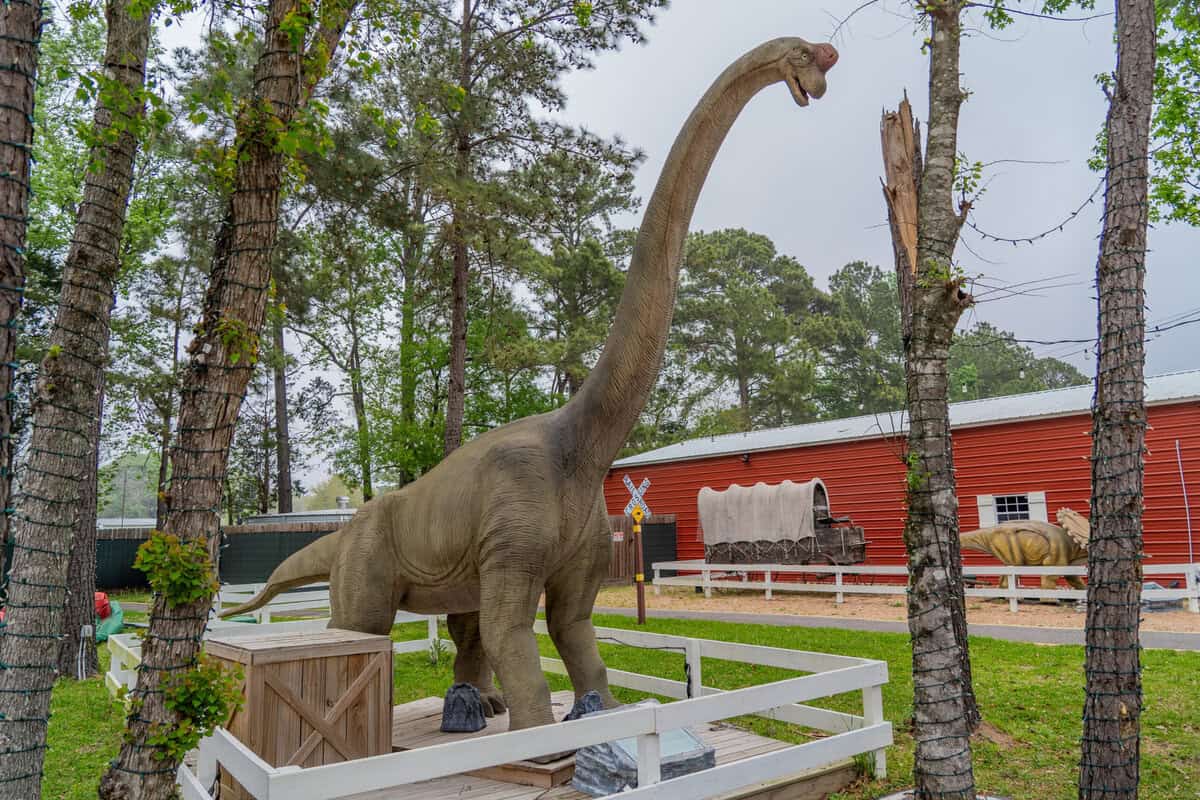 Dinosaur display at Once Upon a Cowboy in Tomball
