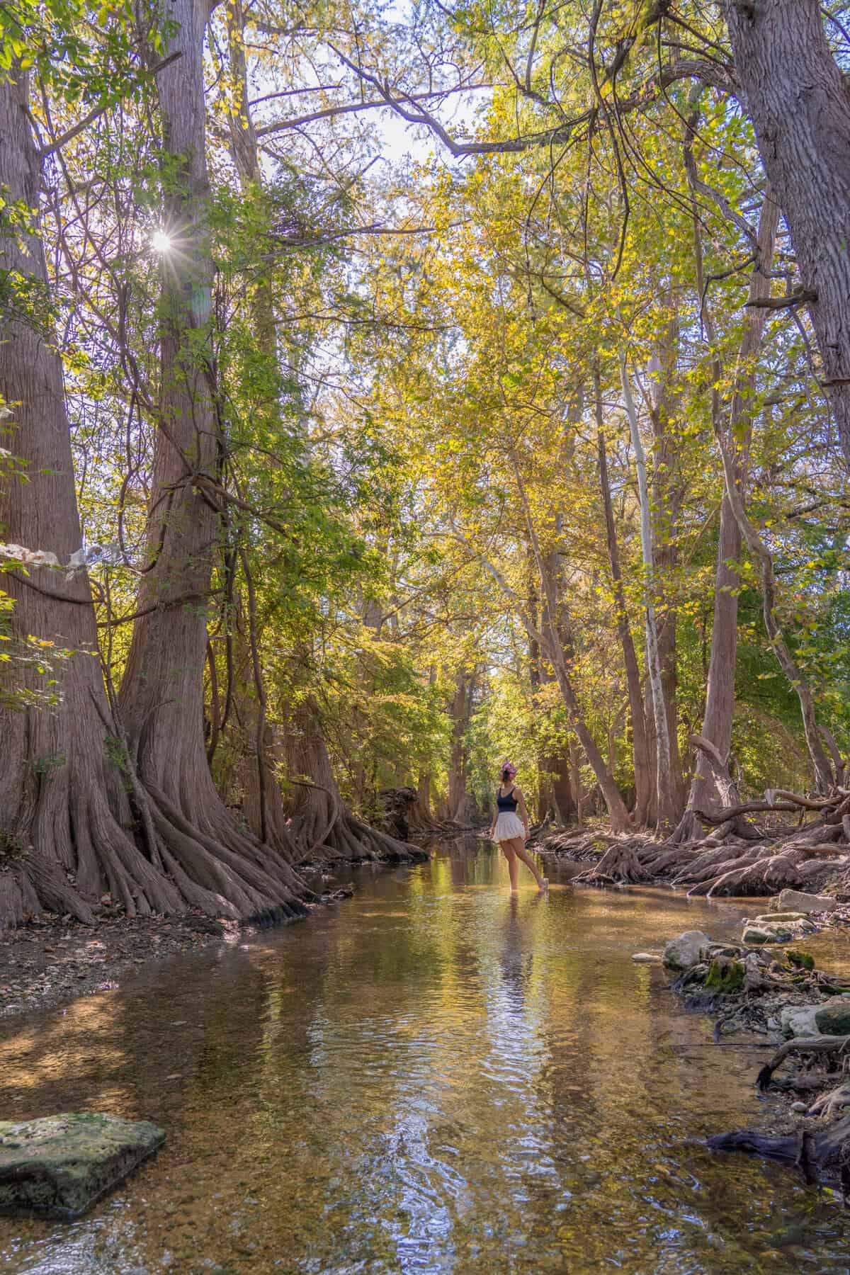 Cibolo Nature Center in Boerne, Texas