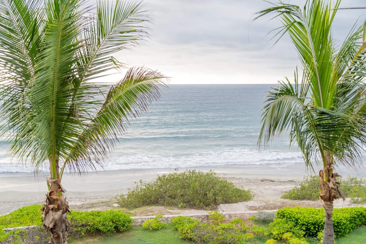 Palm-framed beach view near Conrad Punta de Mita.