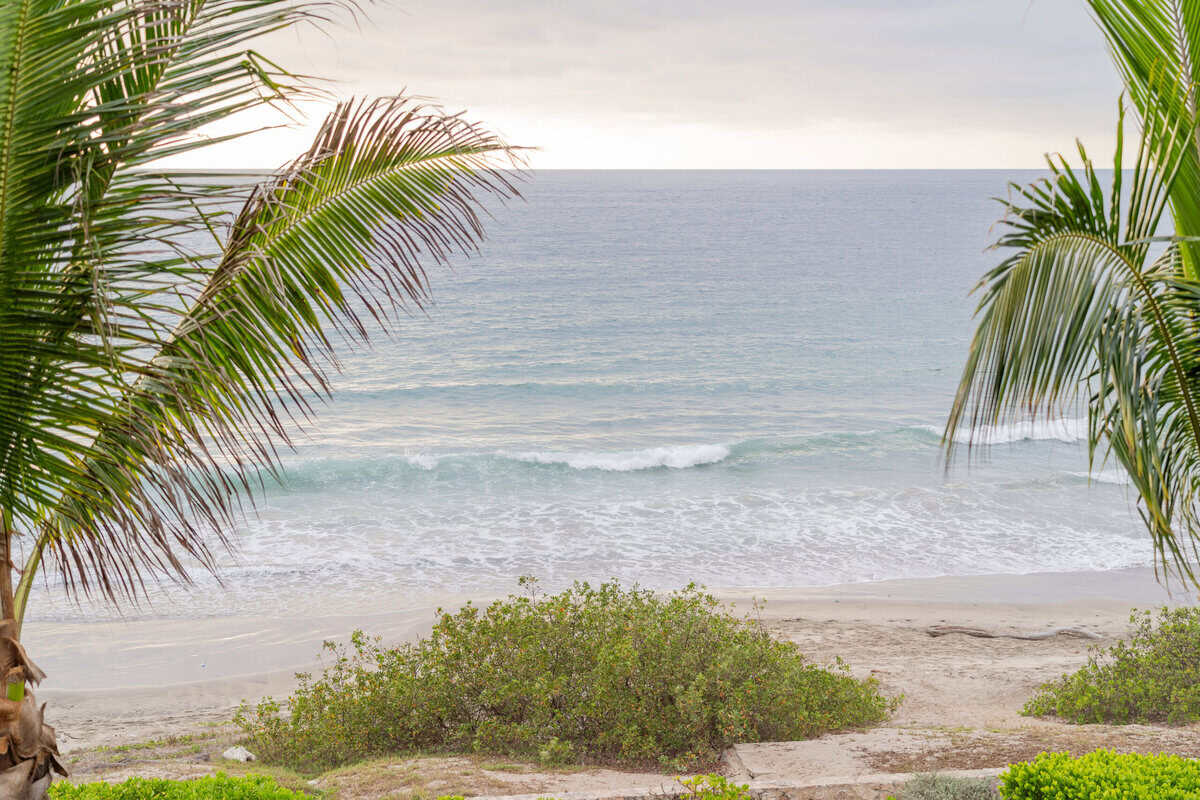 Swimmable beach view at Conrad Punta de Mita framed by palm trees.
