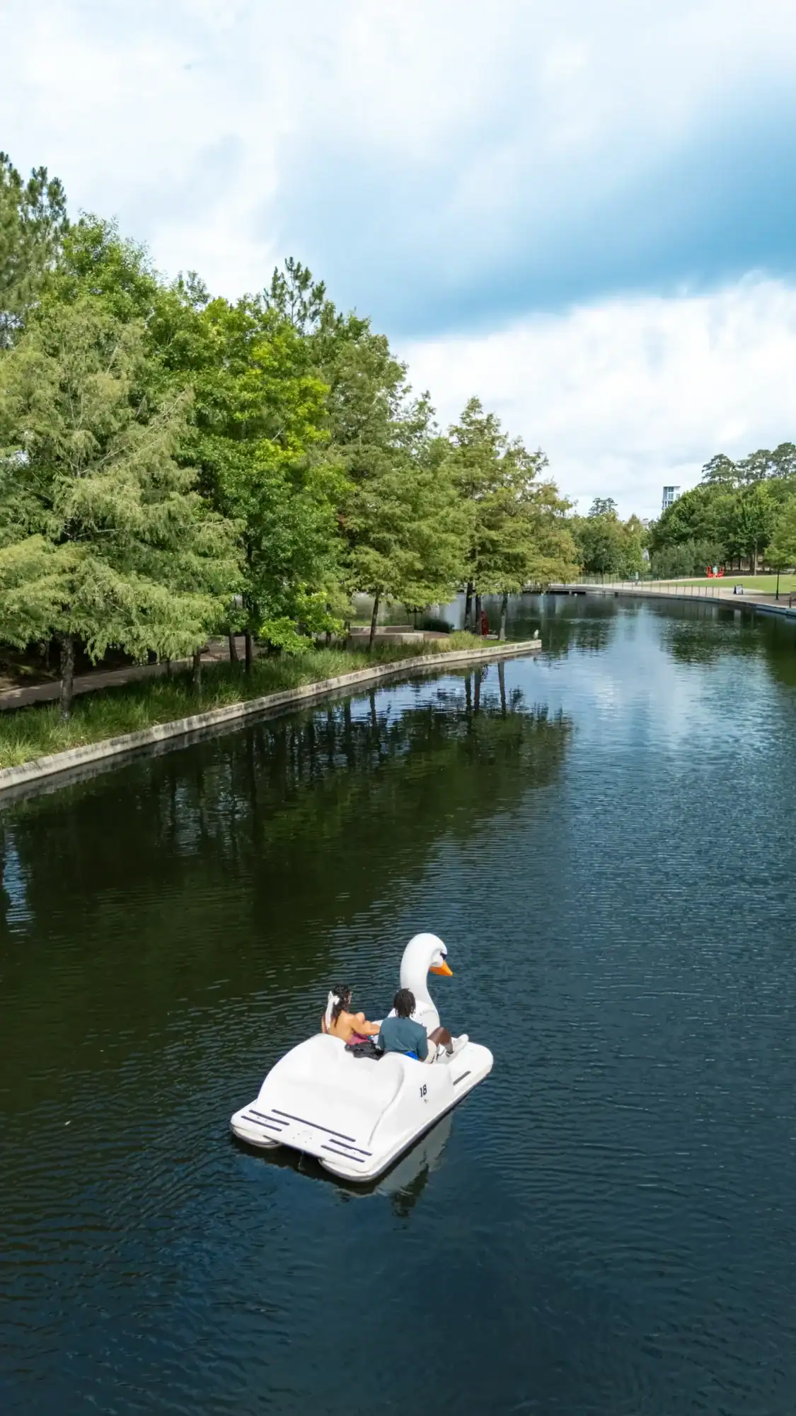 Swan pedal boats at Riva Row Boat House in The Woodlands